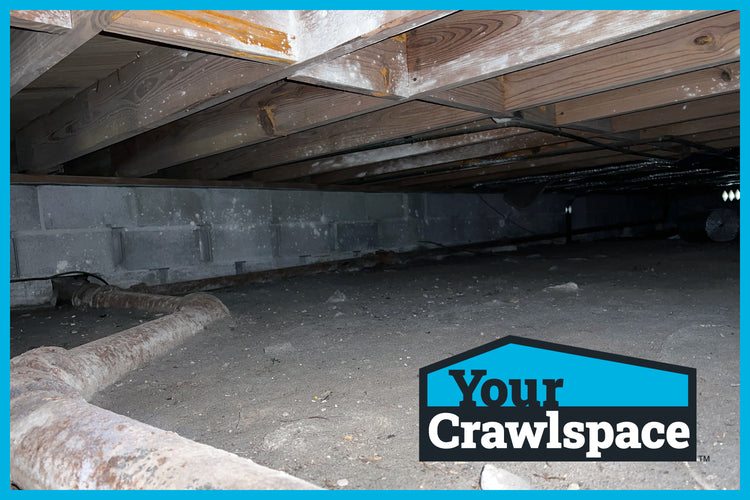 Top 6 Crawlspace Encapsulation Products Your Business Needs